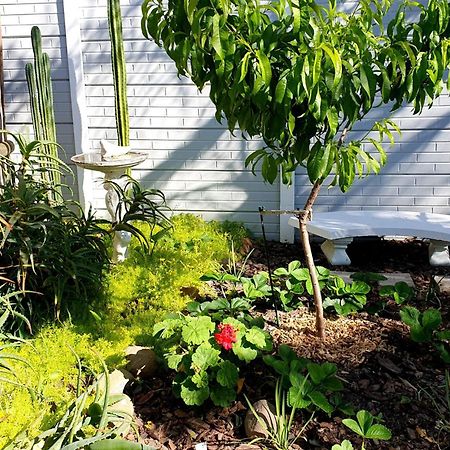 Apartament 19 On Robyn Durbanville Zewnętrze zdjęcie