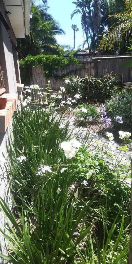 Apartament 19 On Robyn Durbanville Zewnętrze zdjęcie