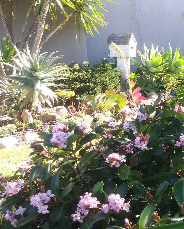 Apartament 19 On Robyn Durbanville Zewnętrze zdjęcie